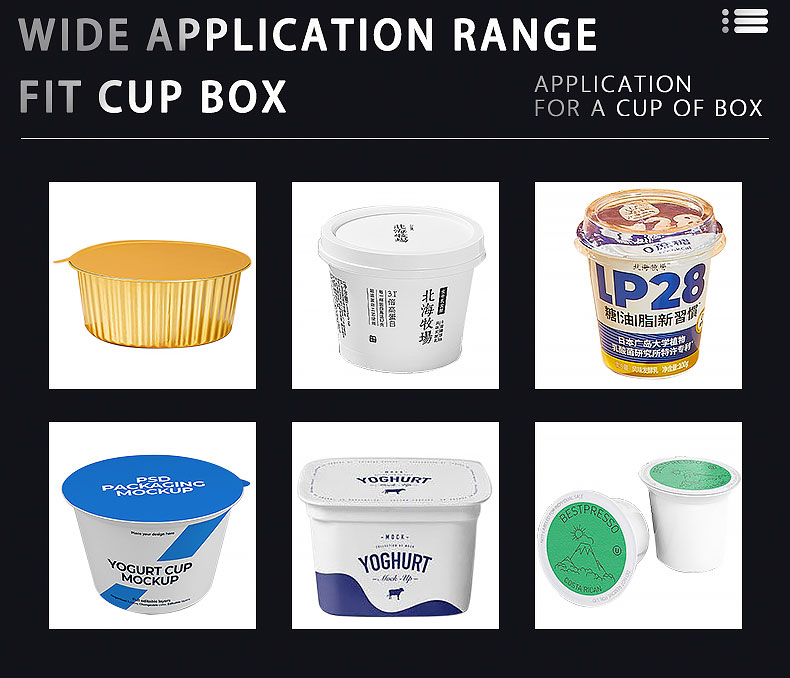 Linear-ice-cream-cup-tub-filling-sealing-packing-machine_04