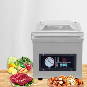 DZ-260 small vircia vacuum sea cucumber fish sardine shrimp big bag packing sealer machine