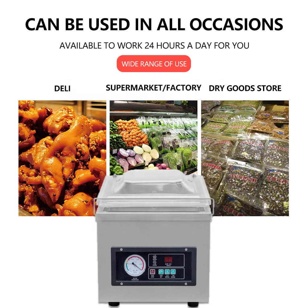 DZ-260 small vircia vacuum sea cucumber fish sardine shrimp big bag packing sealer machine