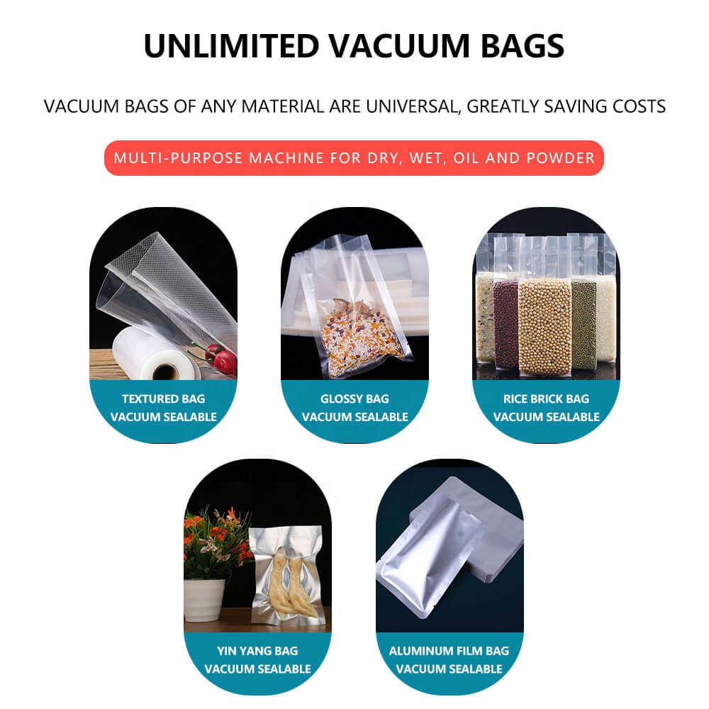 DZ-260 small vircia vacuum sea cucumber fish sardine shrimp big bag packing sealer machine